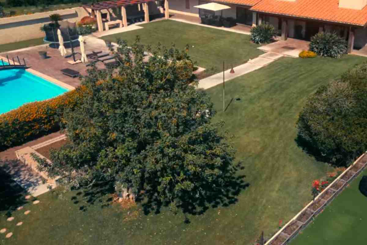 In foto la piscina e il maxi giardino di Ilary Blasi