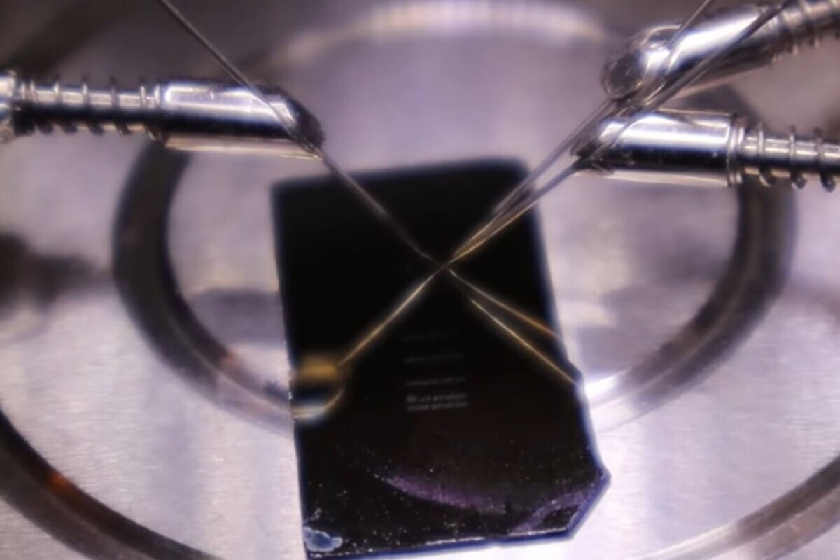 Celle DRAM costruite artigianalmente da Dr.Semiconductor, testate con sonde micromanipolatrici, con una capacità misurata di circa 12 picofarad per cella