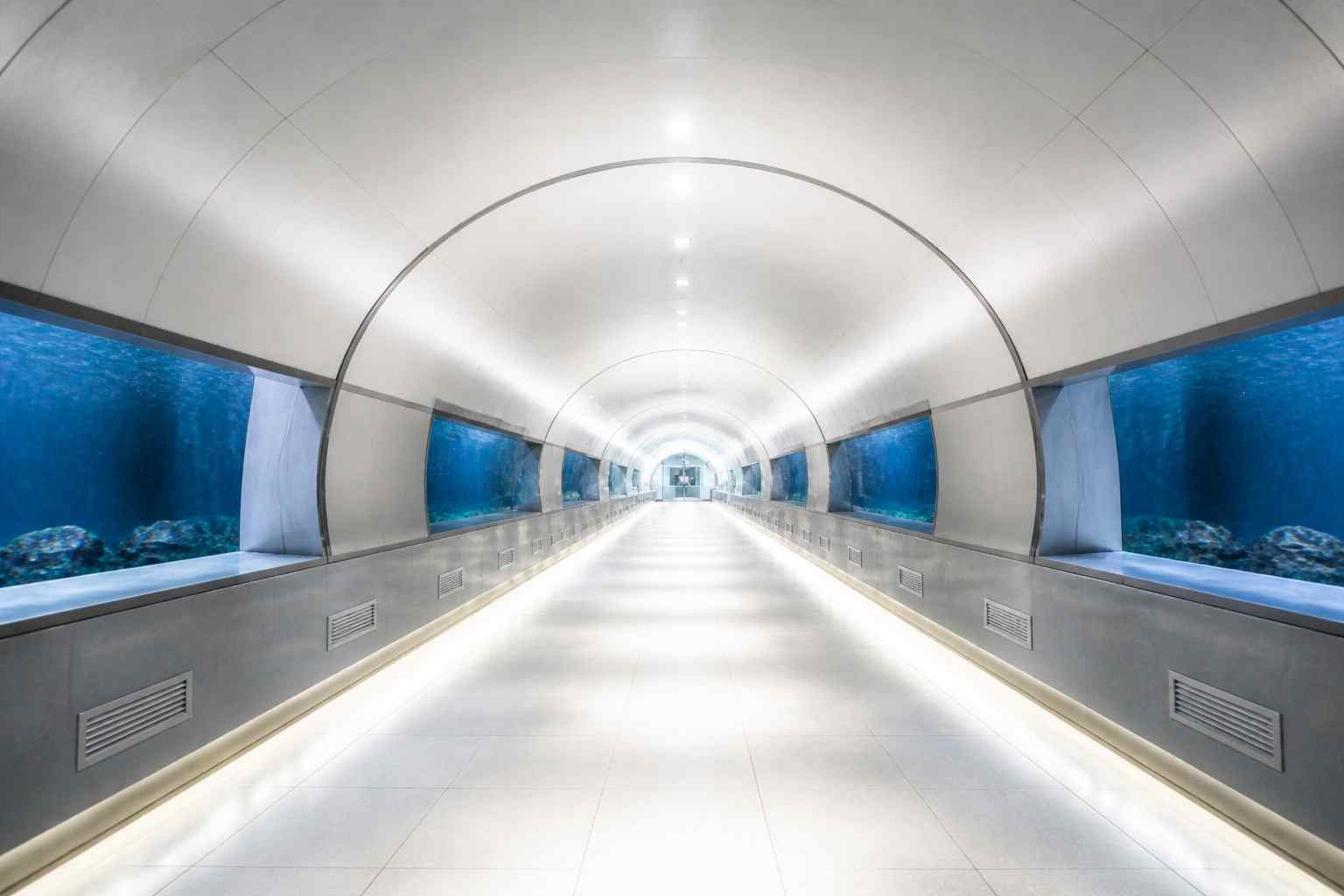 Tunnel sottomarino Genova 