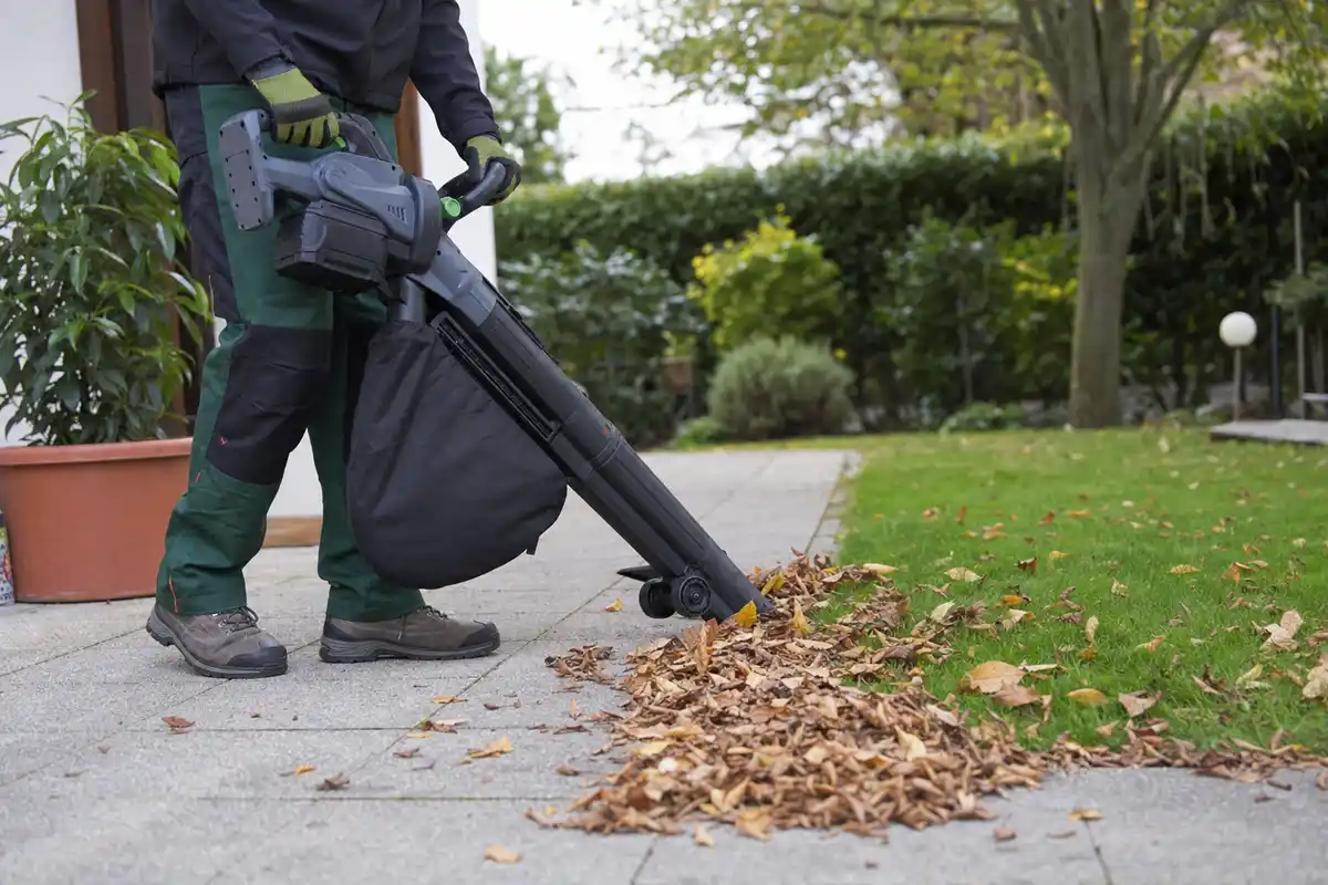 Giardiniere usa un soffiatore-aspiratore a batteria con sacco per raccogliere foglie su un vialetto