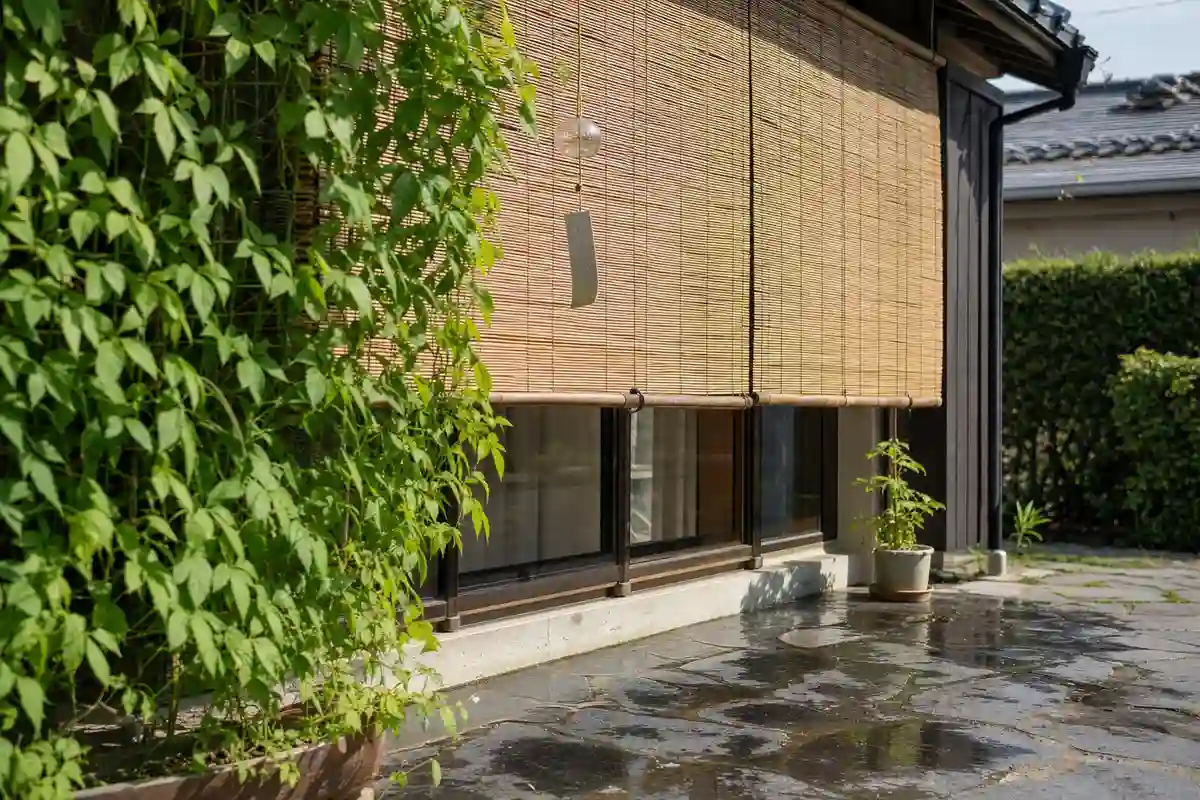 Finestra ombreggiata da tenda in bambù con rampicanti verdi e pietre del patio bagnate