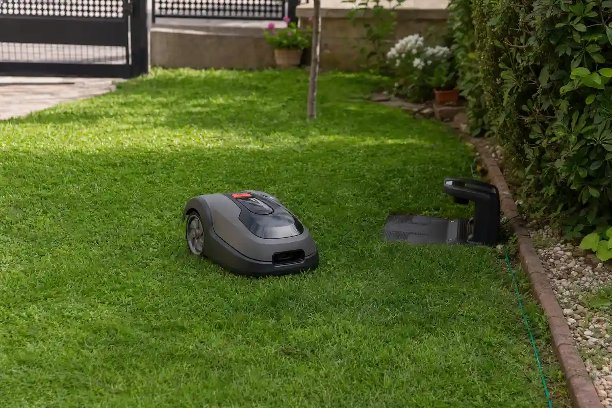 Tutti pazzi per il robot tosaerba LIDL: trasforma il giardino in un'oasi e zero fatica