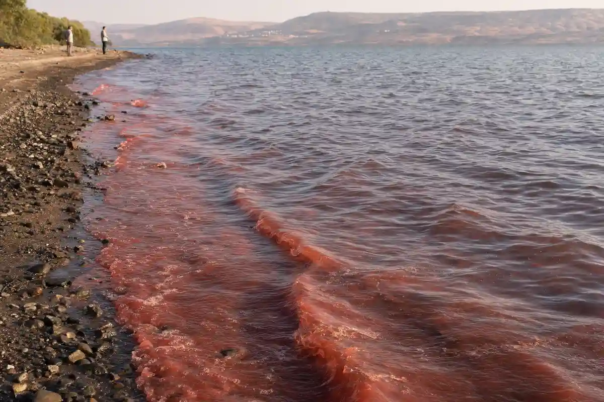 Onde rossastre lambiscono una riva sassosa, con due persone in lontananza e colline sullo sfondo